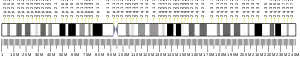 Chromosome 2 (human)