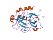 1zml: Crystal Structure of the Catalytic Domain of Factor XI in complex with (R)-1-(4-(4-(hydroxymethyl)-1,3,2-dioxaborolan-2-yl)phenethyl)guanidine