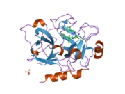 1zom: Crystal Structure of the Catalytic Domain of Coagulation Factor XI in complex with a peptidomimetic Inhibitor