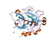 2fda: Crystal Structure of the Catalytic Domain of Human Coagulation Factor XIa in Complex with alpha-Ketothiazole Arginine Derived Ligand