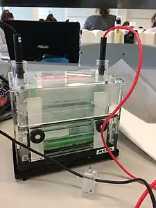 Western Blot Apparatus