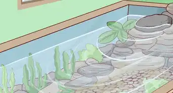 Build an Indoor Pond