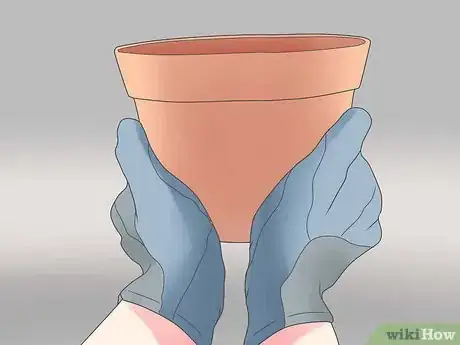 Image titled Repot a Cactus Step 9