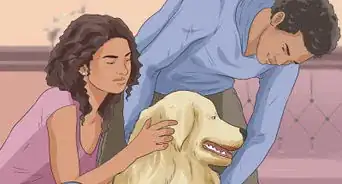 Get Your Dog to Be Nice to Strangers