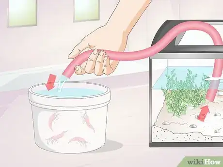 Image titled Make a Shrimp Aquarium Step 12