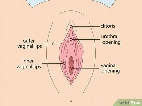 Image titled Recognize Vulva Cancer Symptoms Step 1