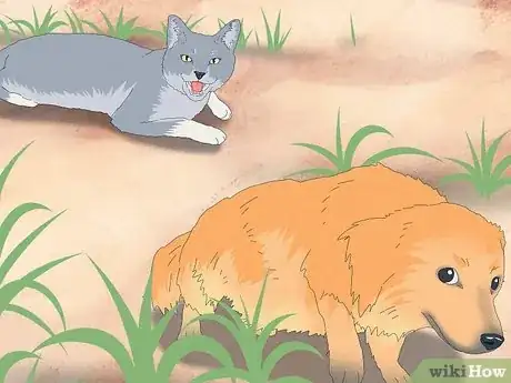 Image titled Why Do Cats Roll in Dirt Step 5