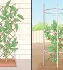 Grow Vegetables Vertically