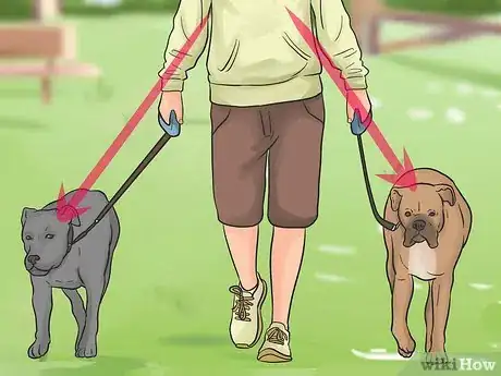 Image titled Introduce a New Dog to Your House and Other Dogs Step 34