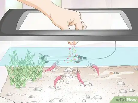 Image titled Make a Shrimp Aquarium Step 14