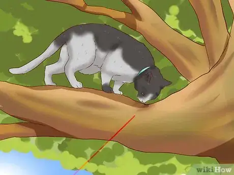 Image titled Get a Cat out of a Tree Step 5