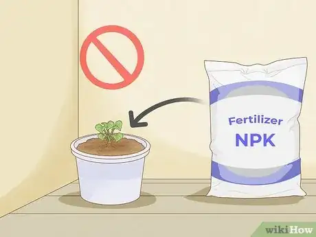 Image titled Fertilize Indoor Plants Step 11