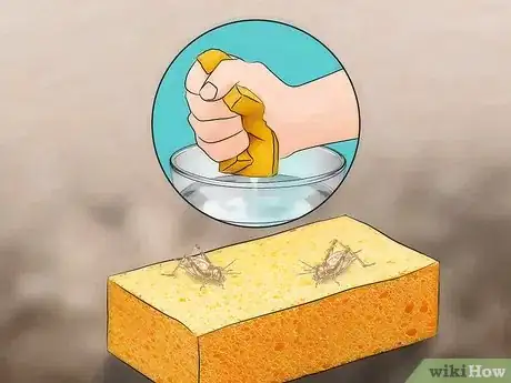 Image titled Care for Live Crickets for Reptiles Step 9