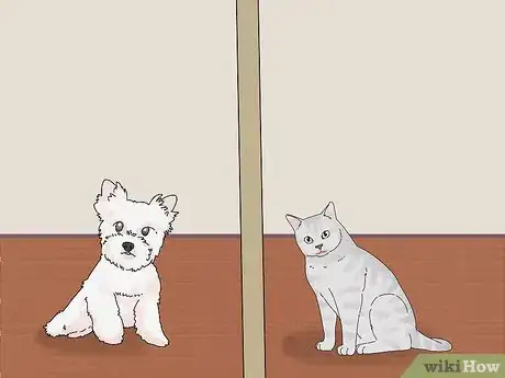 Image titled Make a Cat and Dog Get Along Step 10