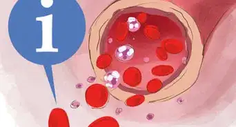 Increase Red Blood Cell Count