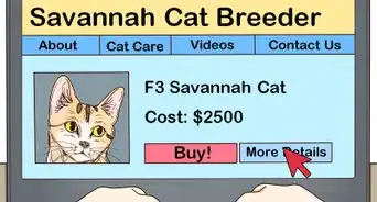 Identify a Savannah Cat