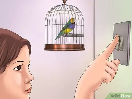 Image titled Train a Bird to Step on Your Finger Step 3