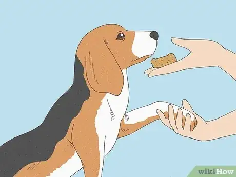 Image titled Prepare Your Dog for the Vet Step 2