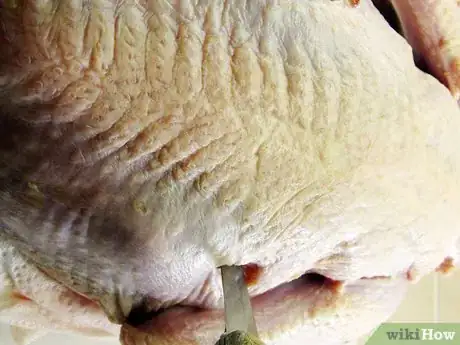 Image titled Butcher and Remove the Pin Feathers of a Turkey Step 5