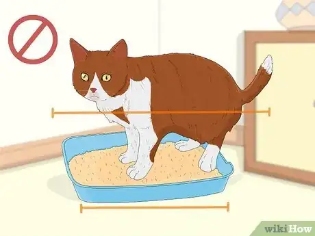 Image titled Keep Your Cat from Urinating Where It Shouldn't Step 5