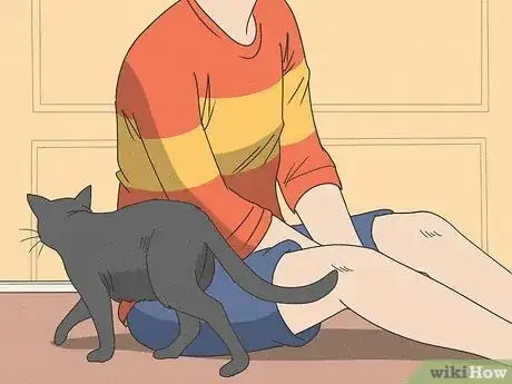 Image titled Keep a Cat from Running Away when It Is Moved Step 10