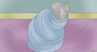 Wrap a Cat