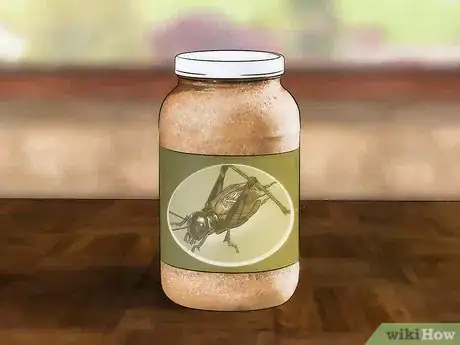 Image titled Care for Live Crickets for Reptiles Step 6