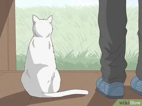 Image titled Keep a Cat from Running Away when It Is Moved Step 13