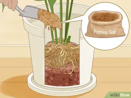 Image titled Save an Overwatered Plant Step 15