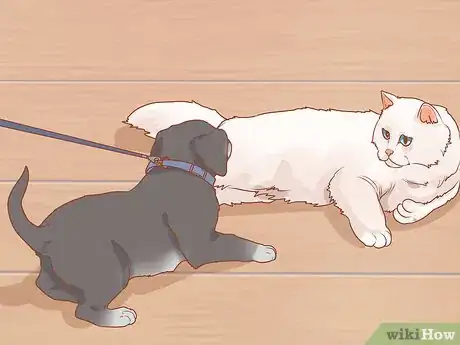 Image titled Introduce a New Puppy to the Resident Cat Step 6