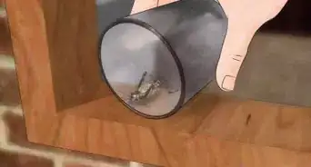 Catch a Cricket Inside a Building