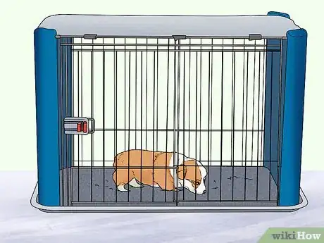 Image titled House Train Corgi Puppies Step 9