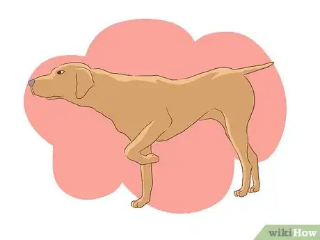 Image titled Help Your Dog Deal with the Death of Another Dog Step 2