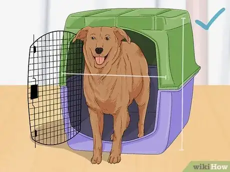 Image titled Prepare a Dog for Air Travel Step 16