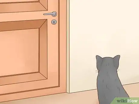 Image titled Keep Cats out of Rooms Step 1