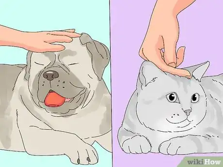 Image titled Make a Cat and Dog Get Along Step 7