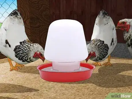 Image titled Keep Chickens from Eating Their Own Eggs Step 7