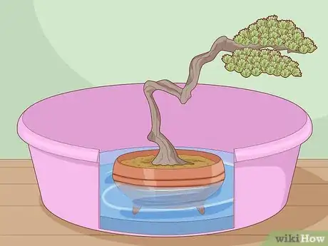 Image titled Water a Bonsai Tree Step 10