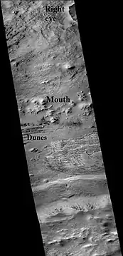 Part of Galle crater, as seen by CTX  camera.  The right "eye" and "mouth" are labeled.  One of two dune fields are labeled as well.