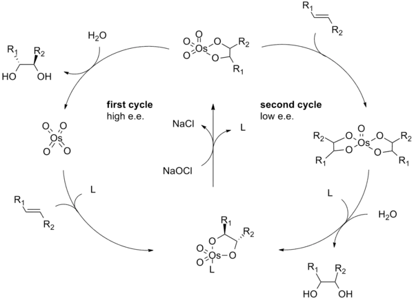 Catalytic cycle of the Sharpless asymmetric dihydroxylation