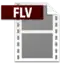 FLV file Icon from Adobe Systems