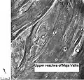 Streamlined islands seen by Viking showed that large floods occurred on Mars.  Image is of a small part of Maja Valles and is located in Lunae Palus quadrangle.