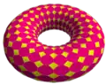 tQ24×12 projected to torus