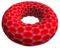 taH24×8 projected to torus